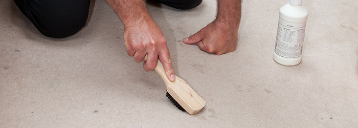 Carpet Stain Removal